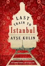 Last Train to Istanbul (Ayse Kulin)
