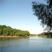 Stephen F. Austin State Park, Texas