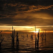 Fothergill Island, Matusadona, Zimbabwe