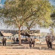 Lower Zambezi National Park, Zambia