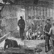 162,000 Convicts Were Transported to Australia