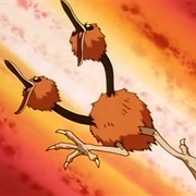 Doduo