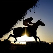 Newcastle Race Course