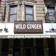 Wild Ginger