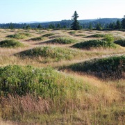 Littlerock, Washington