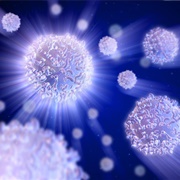 White Blood Cells to Fight off Illness