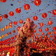 Lunar New Year