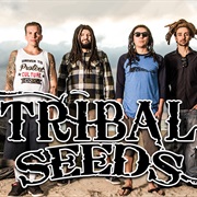 Tribal Seeds