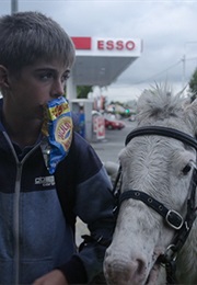 Miejscy Kowboje (2016)