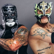 The Lucha Brothers