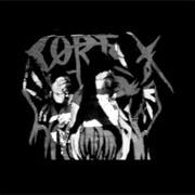 Cortex - Spinal Injuries