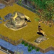 Zoo Tycoon