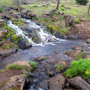 Labyrinth/ Lil Maui Loop Trail