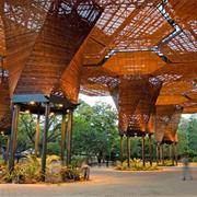 Jardín Botánico - Medellin