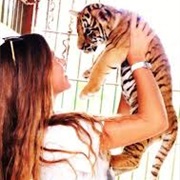 Hold a Baby Tiger