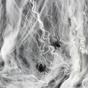 Decorate With Fake Spider Webs