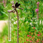 Measure the Amount of Precipitation