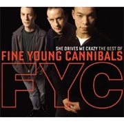 She Drives Me Crazy - Fine Young Cannibals