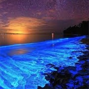 Shimmering Shores of Vaadhoo, Maldives