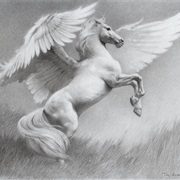 Pegasus