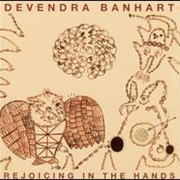 Devendra Banhart - A Sight to Behold