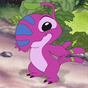 Lax (Experiment 285)