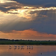 La Mancha Humeda Biosphere Reserve, Spain
