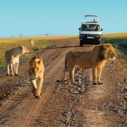 Tsavo East National Park