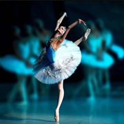 Visit a Ballett Show