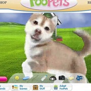 Foopets