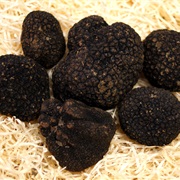 Summer Truffle / Burgundy Truffle (Tuber Aestivum)