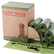 You Never Pick Up Its Poop