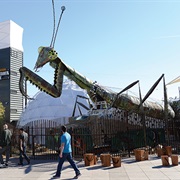 Downtown Vegas Container Park