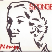 Sponge - Plowed