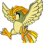 Shiny Pidgeotto