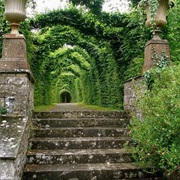 Burr Castle, Ireland