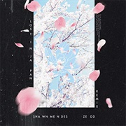 Lost in Japan - Remix - Shawn Mendes, Zedd