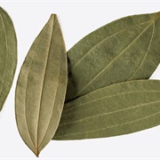 Indian Bay Leaf (Cinnamomum Tamala)