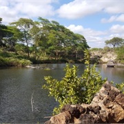 Mzima Springs, Kenya