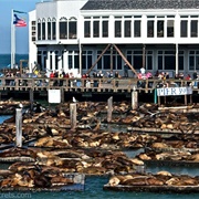 Pier 39