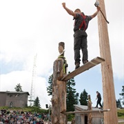 See a Lumberjack Show