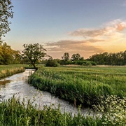 Drentsche Aa National Park