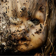 Island of the Dolls (Mexico)