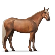 Mustang - Flaxen Chestnut
