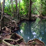 Indian River, Dominica