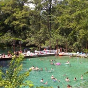 Fanning Springs State Park, Florida