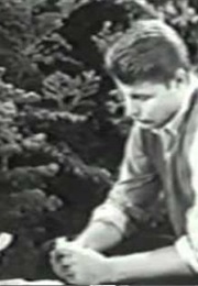 The Adventures of Ozzie and Harriet: "Christmas Tree Lot" (1957)