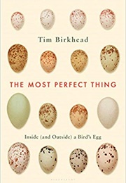 The Most Perfect Thing: Inside (And Outside) a Bird&#39;s Egg (Tim Birkhead)