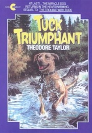 Tuck Triumphant (Theodore Taylor)