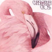 Christopher Cross- Another Page